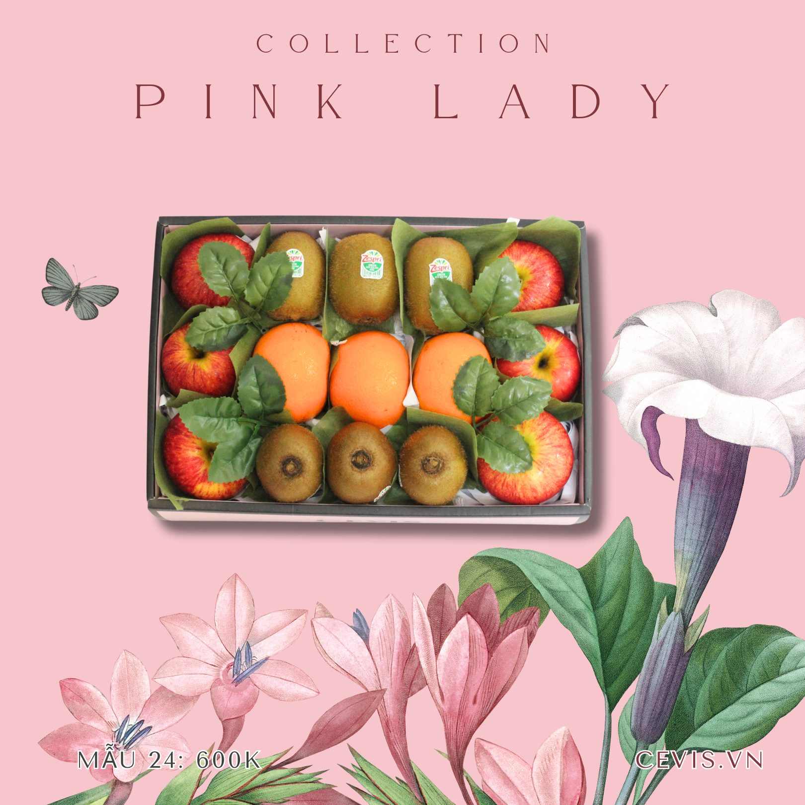Hộp quà Pink Lady P24