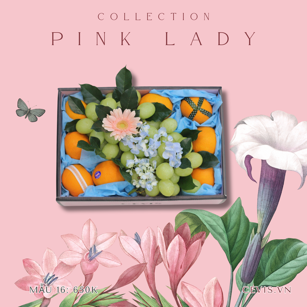 Hộp quà Pink Lady P16