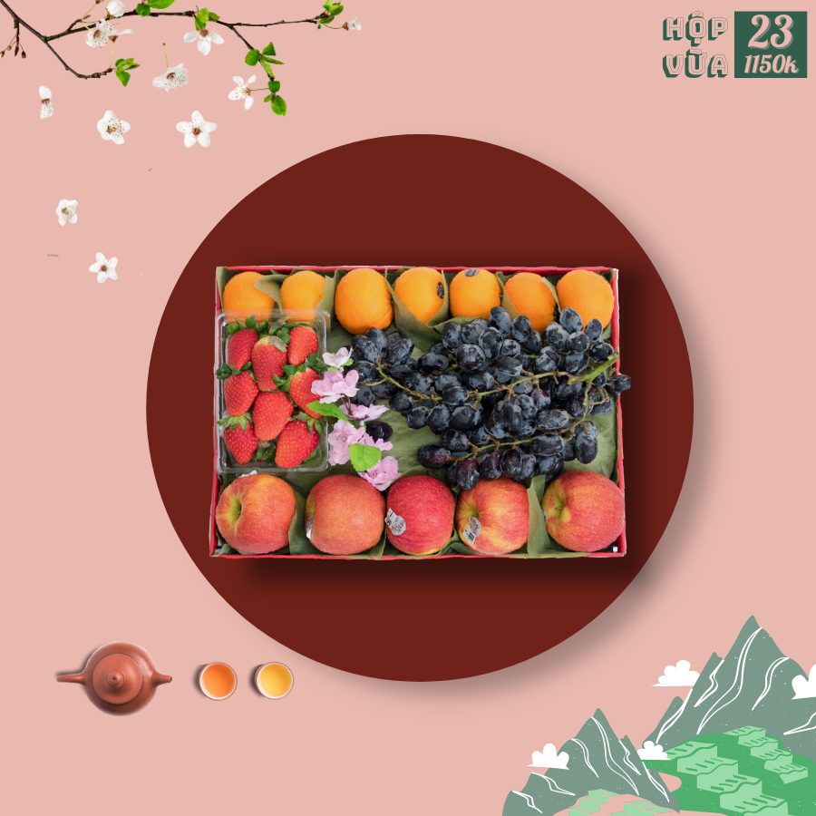 Hộp quà size vừa 23