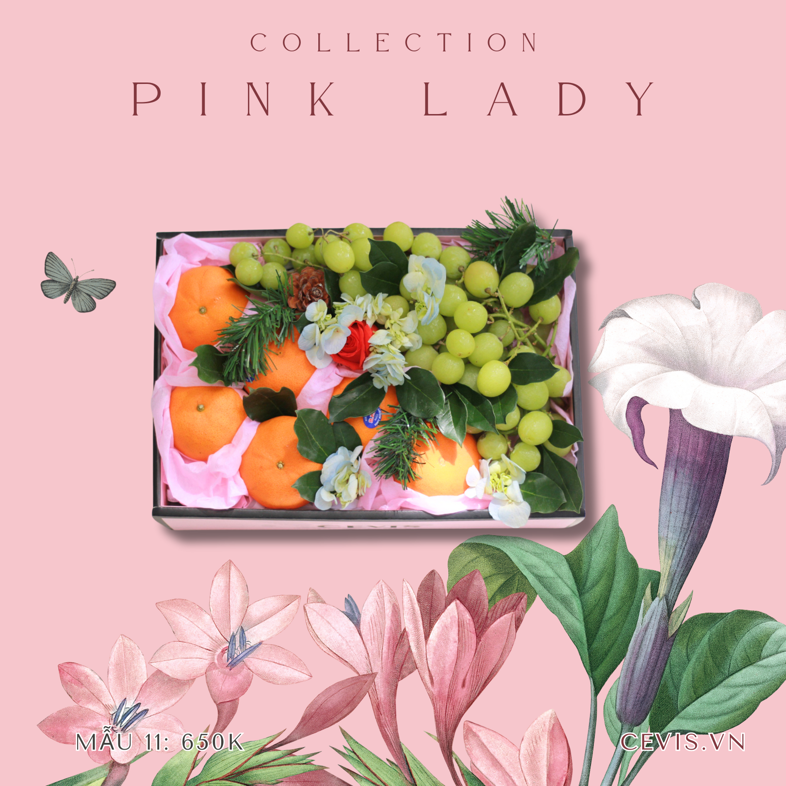 Hộp quà Pink Lady P11