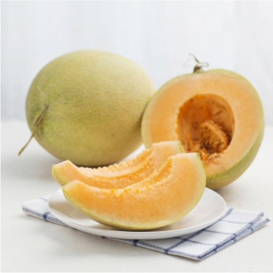 Dưa lưới Đài Loan
