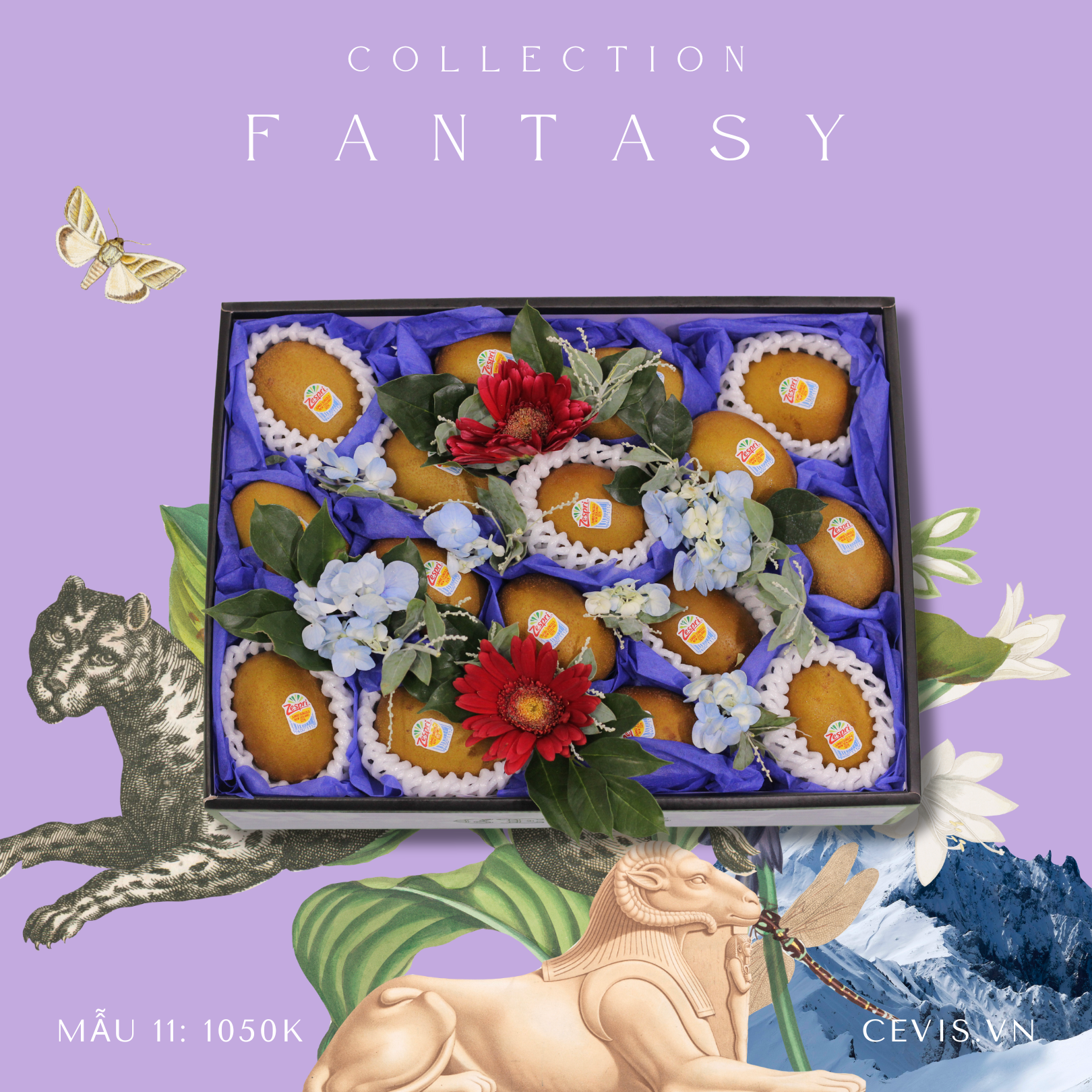 Hộp quà Fantasy F11