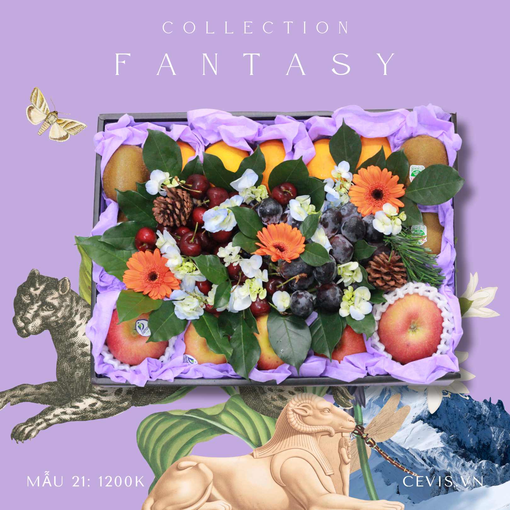 Hộp quà Fantasy F21