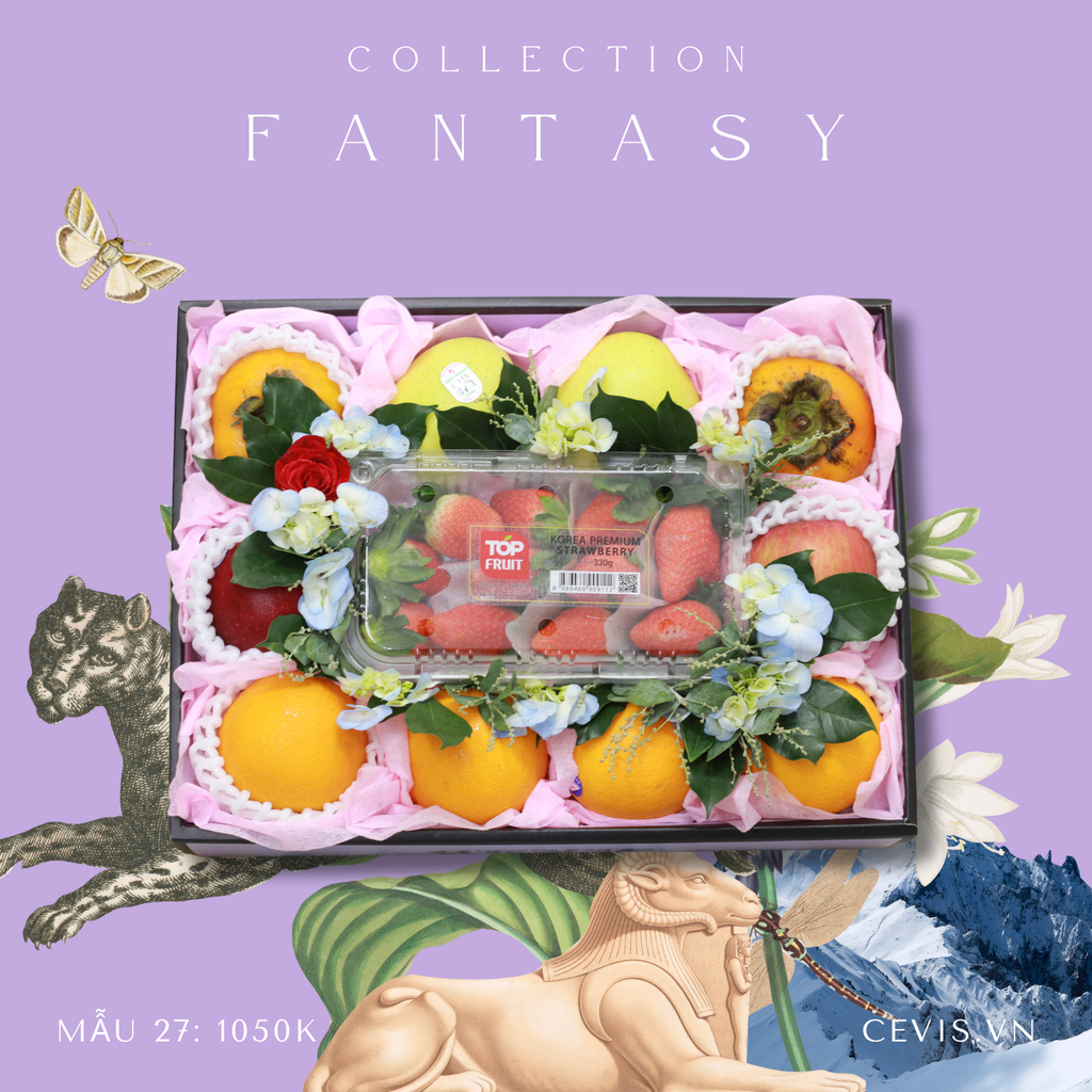 Hộp quà Fantasy F27