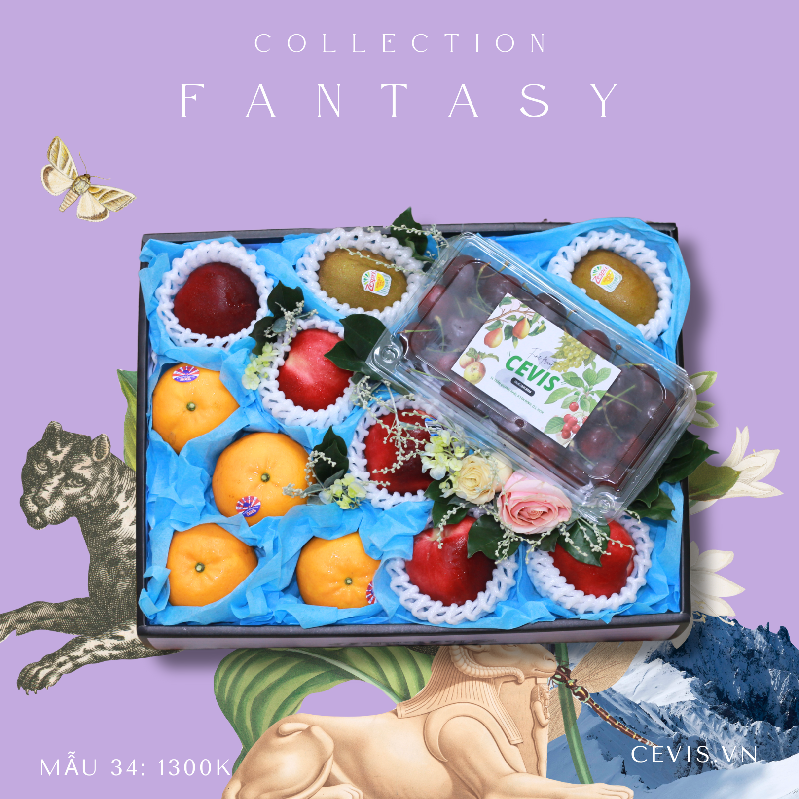 Hộp quà Fantasy F34