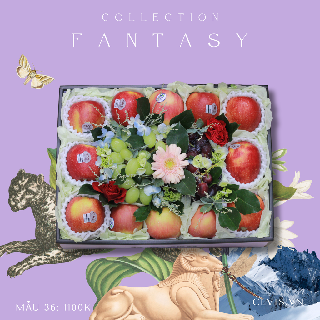 Hộp quà Fantasy F36