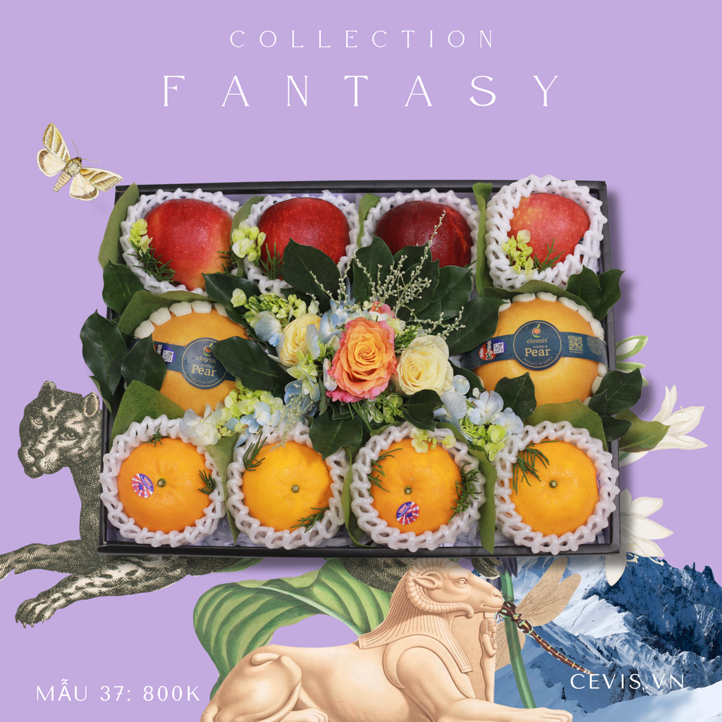 Hộp quà Fantasy F37