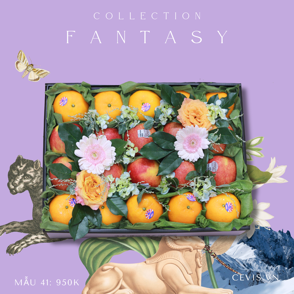 Hộp quà Fantasy F41