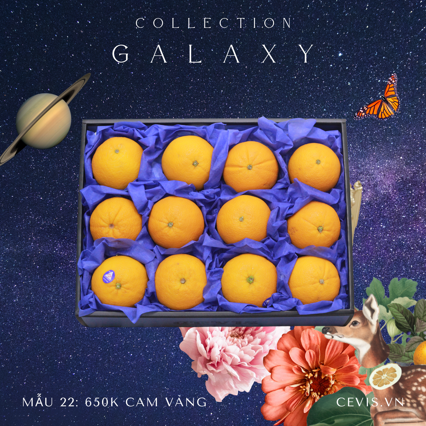 Hộp quà Galaxy G22