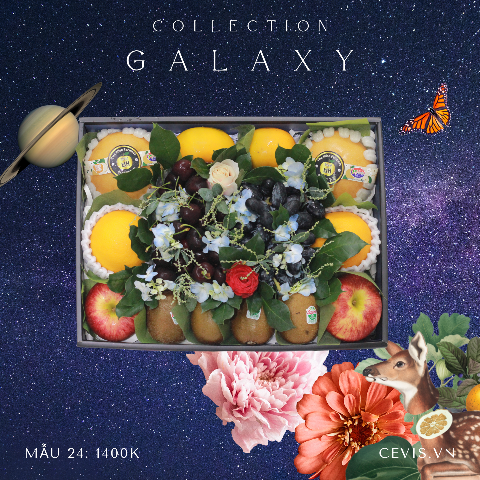 Hộp quà Galaxy G24