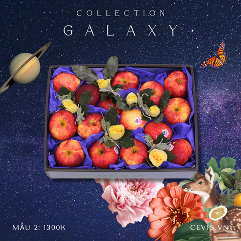  Hộp quà Galaxy G02 