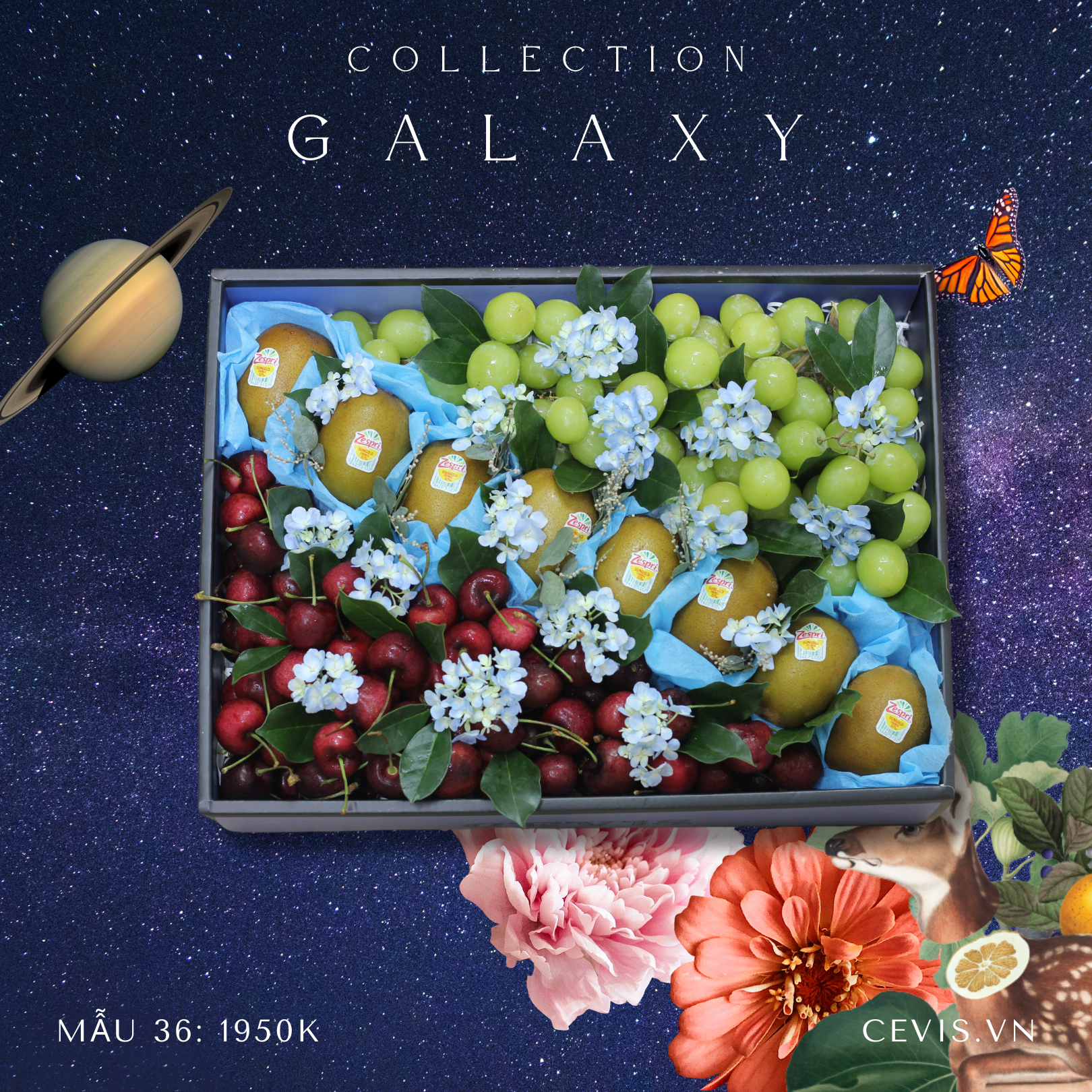 Hộp quà Galaxy G36