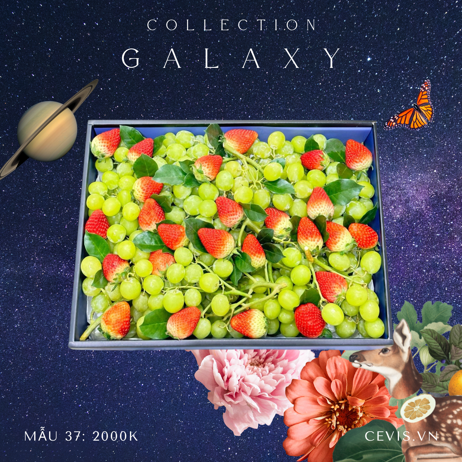 Hộp quà Galaxy G37