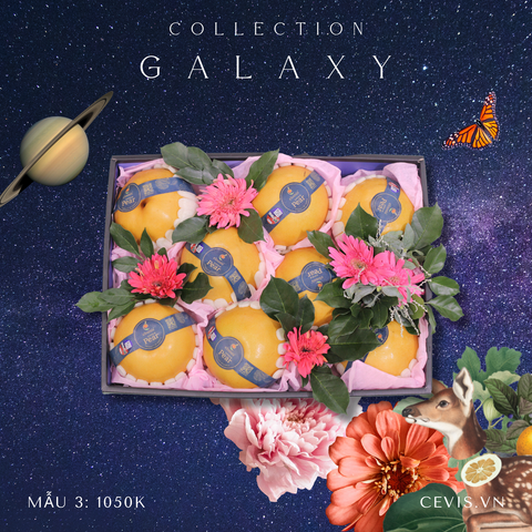  Hộp quà Galaxy G03 