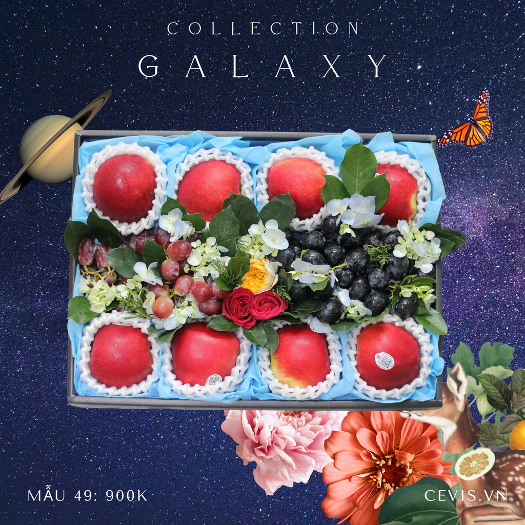 Hộp quà Galaxy G49