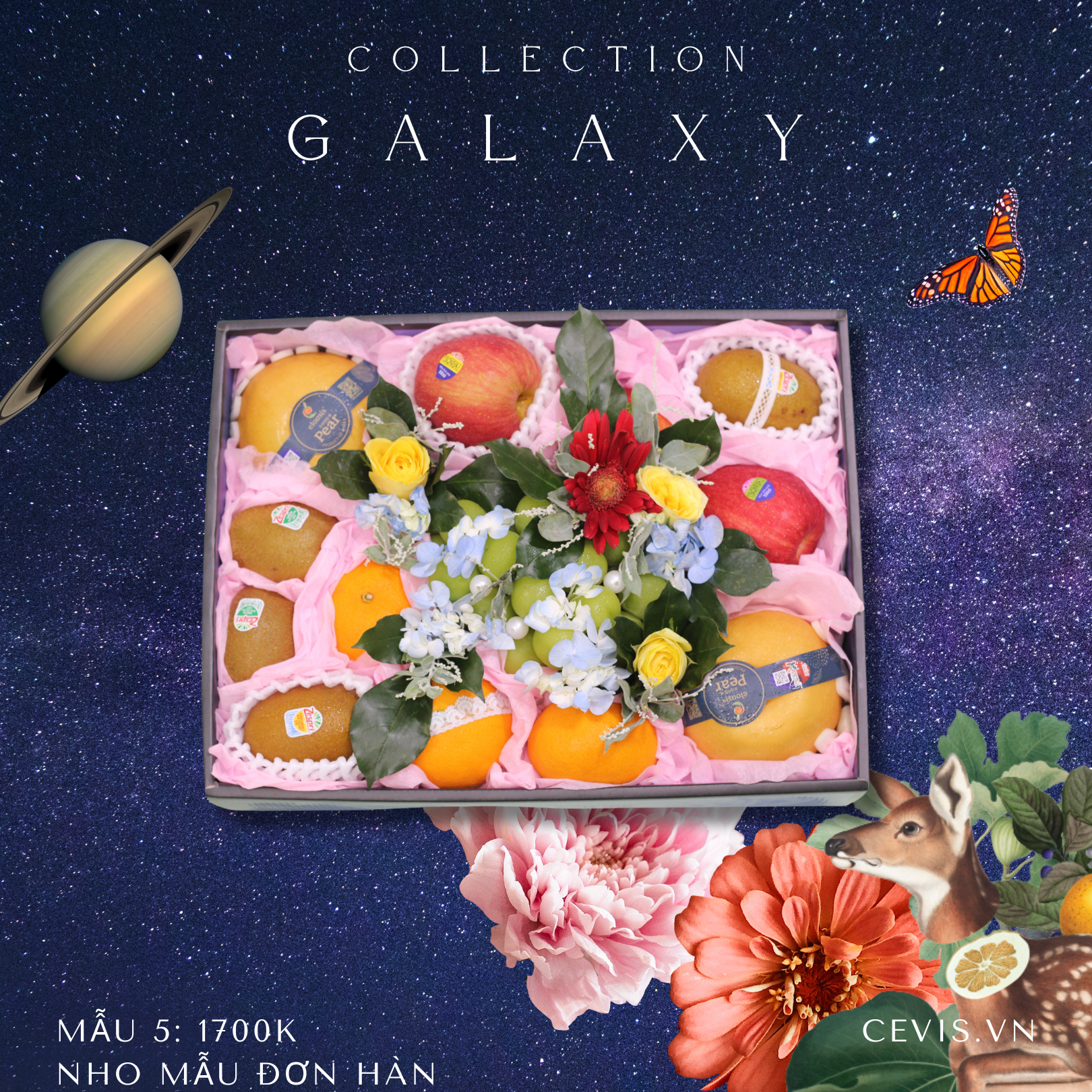 Hộp quà Galaxy G05