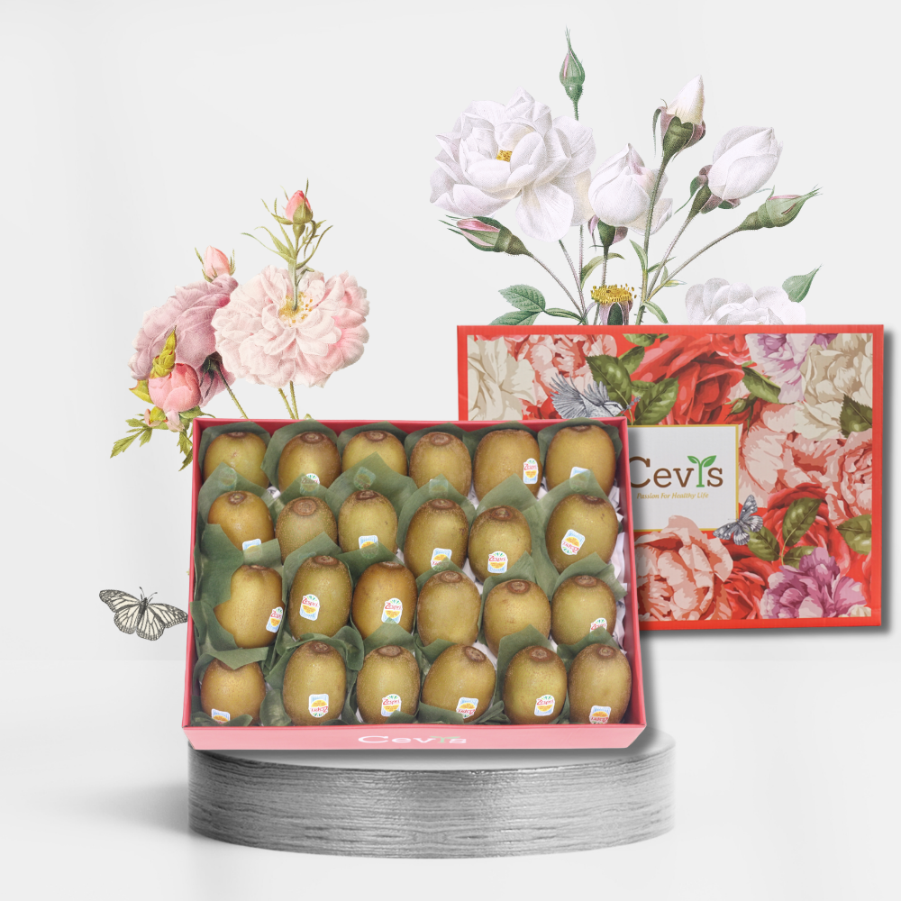Hộp quà size vừa V04