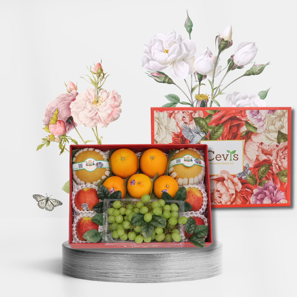Hộp quà size vừa V02
