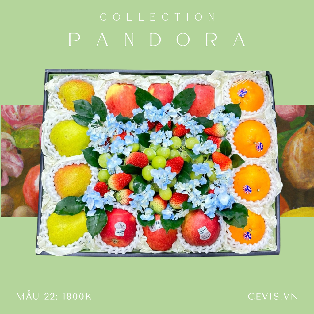 Hộp quà Pandora PA22