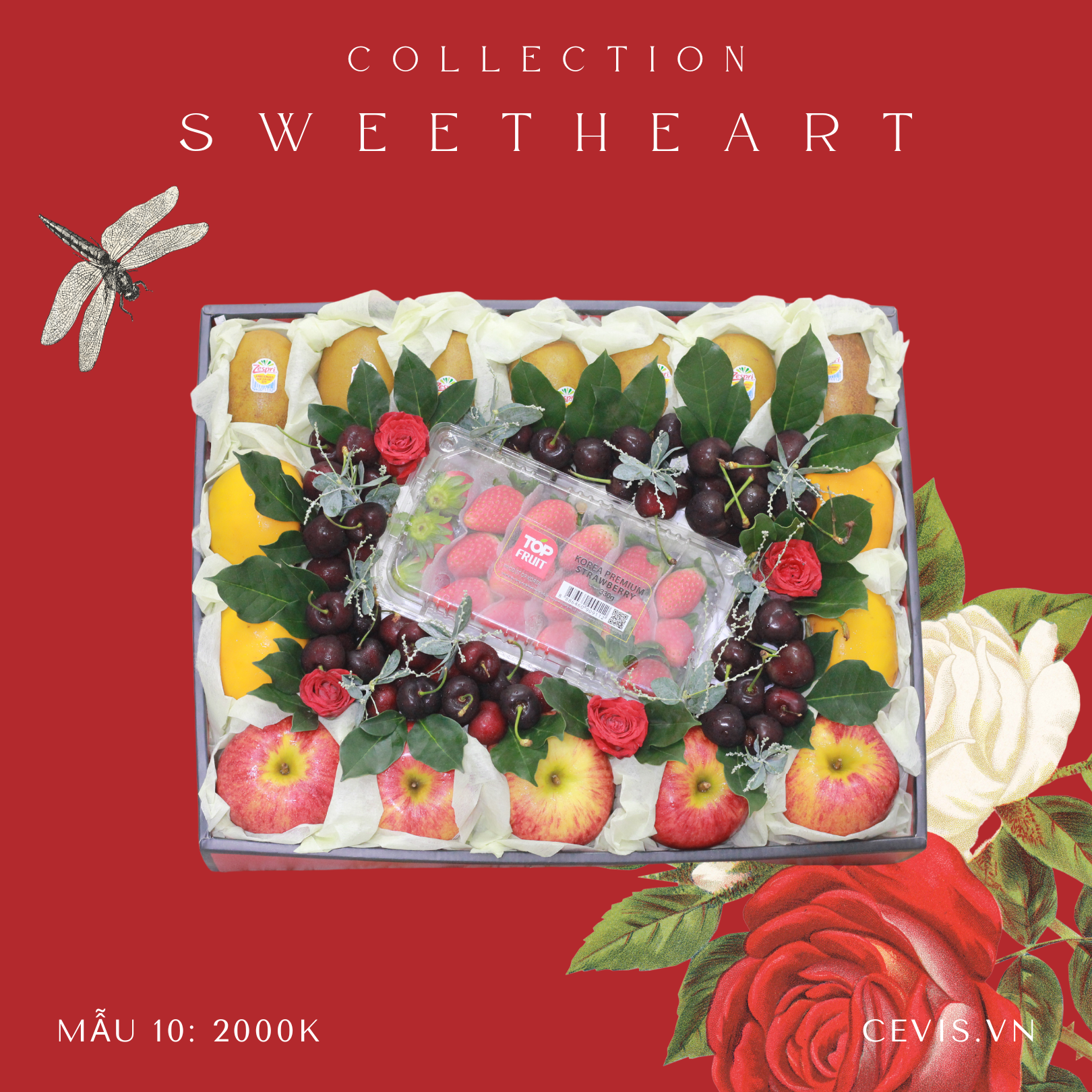 Hộp quà Sweet Heart SH10