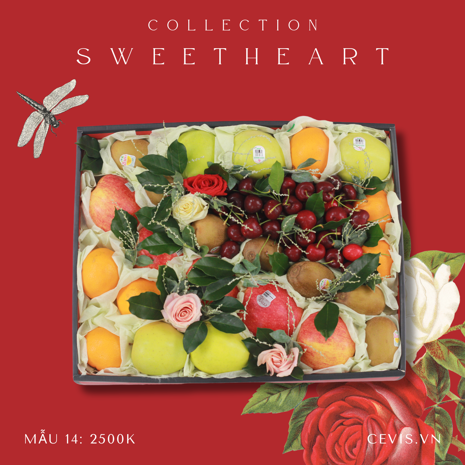 Hộp quà Sweet Heart SH14