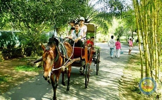 Tour Miền Tây – Châu Đốc 4N3Đ