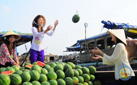 Tour Miền Tây – Châu Đốc 4N3Đ