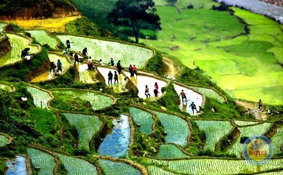 Tour Miền Bắc- Ninh Bình- SaPa 6N5Đ-Tết Âm lịch