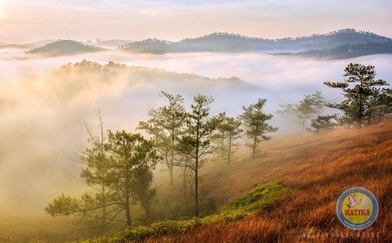 Tour Đà Lạt 3N2Đ: Đà Lạt-Thành phố Ngàn hoa