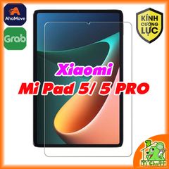 Kính CL MTB Xiaomi Mi Pad 5/ PAD 5 PRO 11