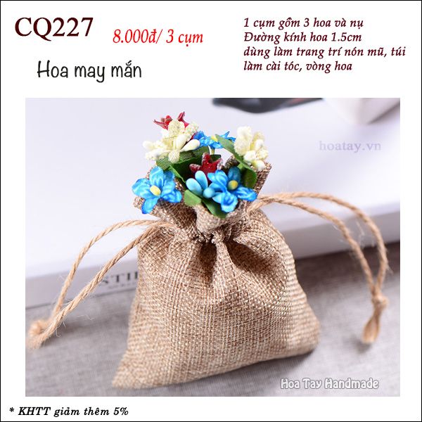 Hoa May Mắn CQ227