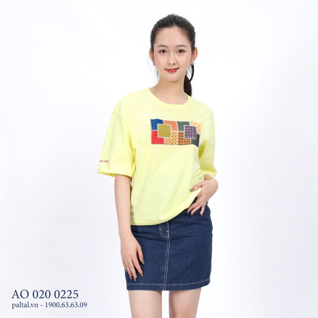 Áo thun tay ngắn cao cấp cotton form rộng 020p 0225