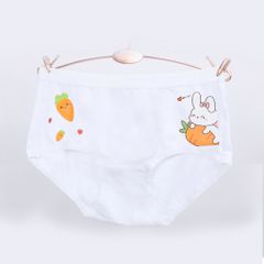 Combo 06 quần lót Baby/ Trẻ em Cotton 027P 7277