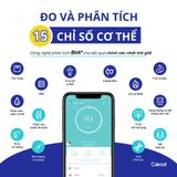  Cân Điện Tử Crenot Gofit S2 Kết Nối Bluetooth - đo phân tích chỉ số cơ thể body fat scale 