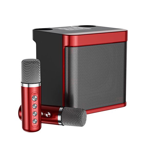 Loa Karaoke YS 203