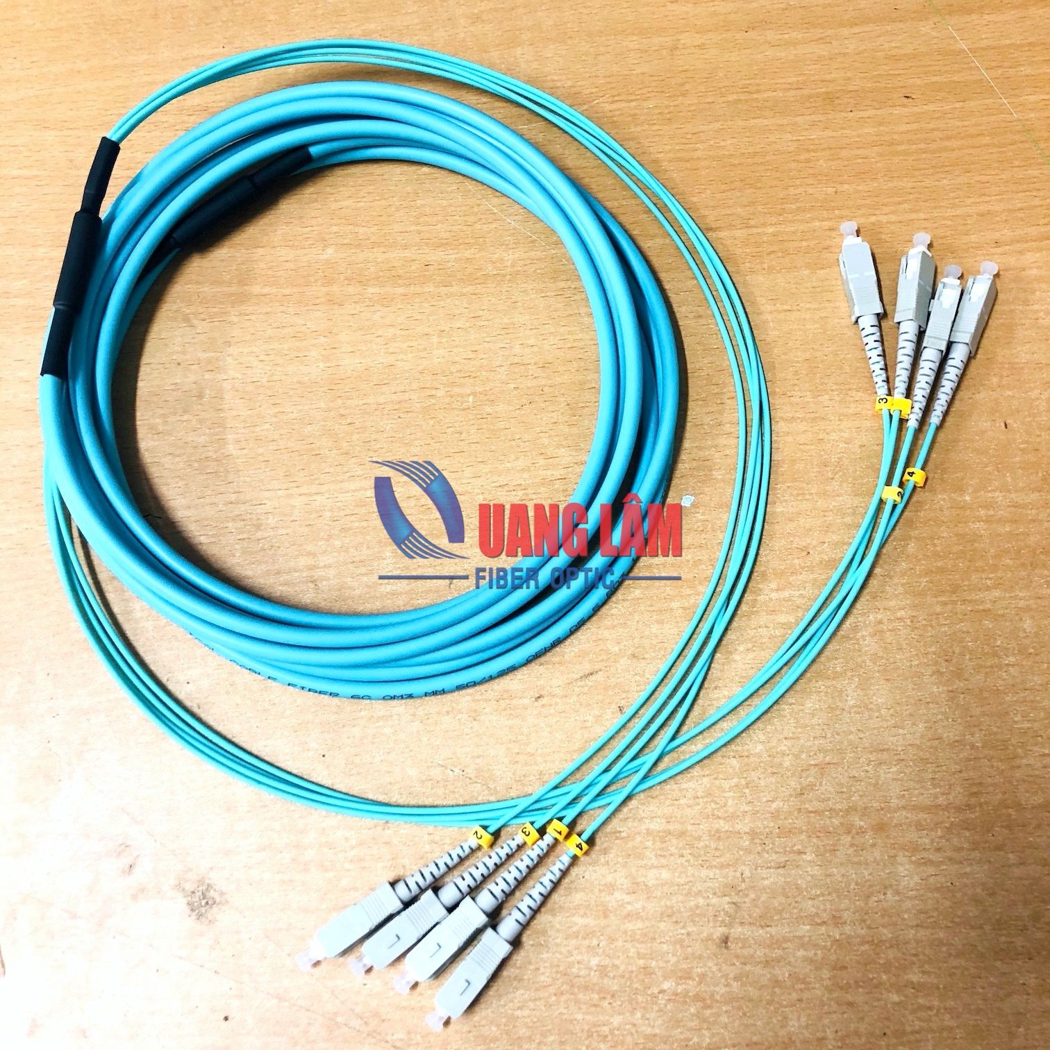 Dây Nhảy Quang Multimode OM3 Dạng Bó 04FO SC/PC-SC/PC Fanout Phi 2.0mm