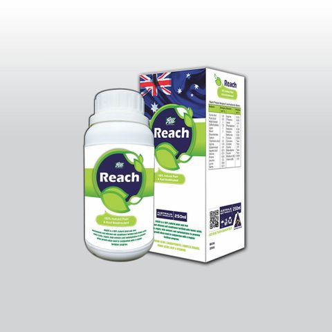  REACH - Chai 250ml (NND-NKR03) 