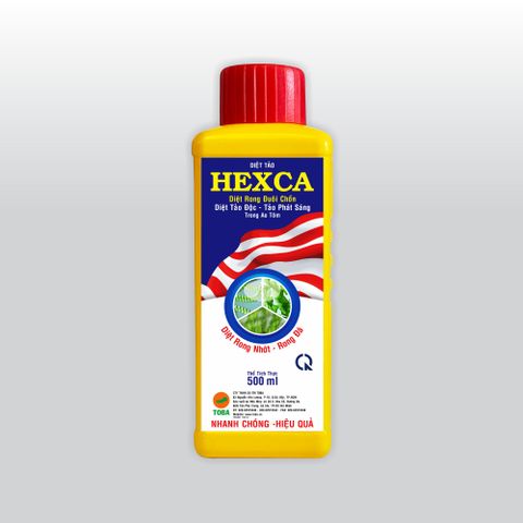  HEXCA - Chai 500ml (TT-TAO06) 