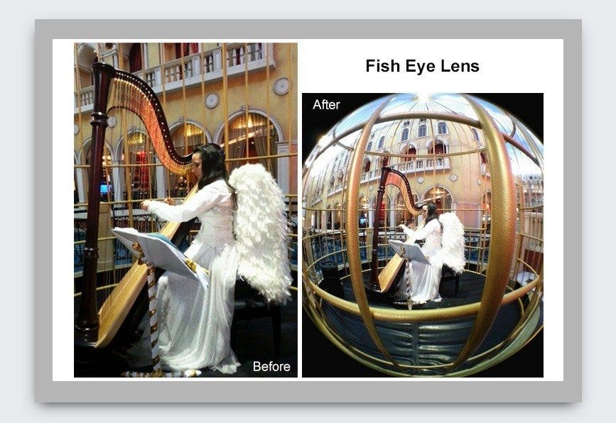 Bộ Lens Camera 3 in 1 cho điện thoại & MTB