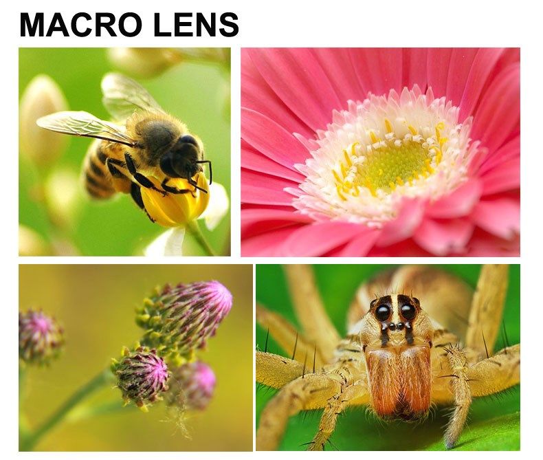 Bộ Lens Camera 3 in 1 cho điện thoại & MTB