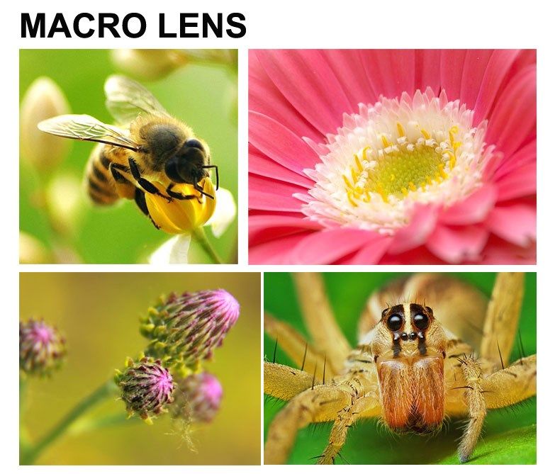  Bộ Lens Camera 3 in 1 cho điện thoại & MTB 