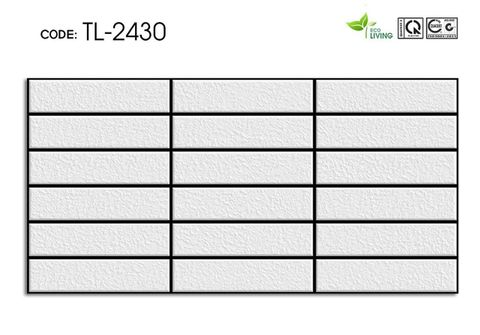 Gạch Cosevco 2430 20x40 12v/T