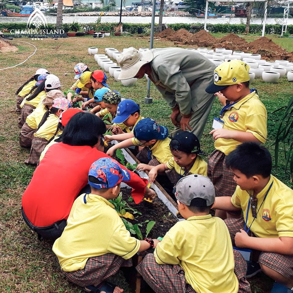 CHAM OASIS ORGANIC GARDEN