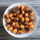 Hạt giống cà chua Indigo Kumquat