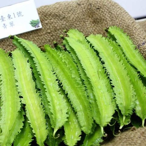 Hạt giống đậu rồng Đài Loan