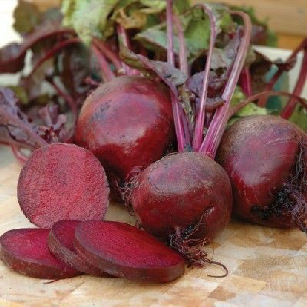 Có nên cho bé ăn dặm củ dền đỏ Có nên cho bé ăn dặm củ dền đỏ