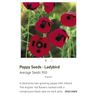 Hoa poppy Lady Bird