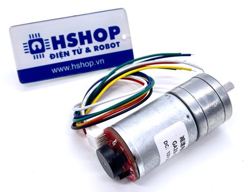 Động Cơ DC Servo GA25-370 DC Geared Motor