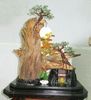 Trầm Cảnh Bonsai TC011