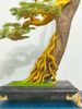 Trầm Cảnh Bonsai TC01